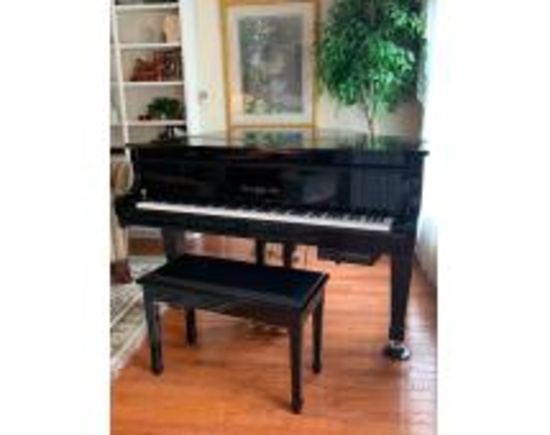Online Only Auction of Player Piano