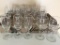 Group of Wine Glasses