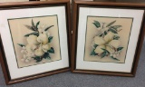 Pair of Framed Hibiscus Floral Prints