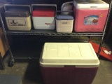 Large Collection of Coolers of Various Sizes