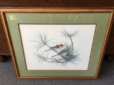 Framed Blackburnian Warbles Print by Melinda Johns Bitting