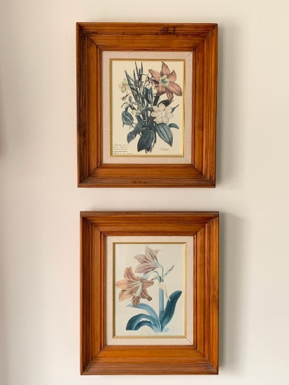 Pair of Framed Floral Prints