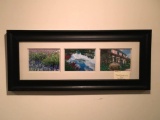 Framed Photos, Flowers from Around The World