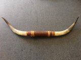Authentic Large Steer Horns