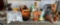 Treasure Lot of Home Items