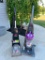 Bissel Vacuum and Steam Cleaner