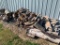 Seasoned Fire Wood Pile