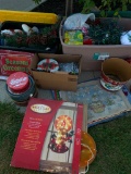 Christmas Lot