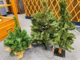 Group of 3 Christmas Trees