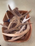 Group of Misc Size Deer Antlers