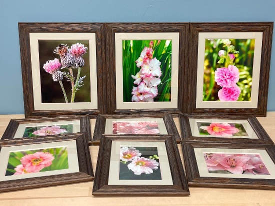 Group of 9 Framed Flower Photos