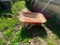 Hard Tire Wheel Barrow
