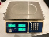 Penn Scale Model CM-101, Working