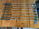 Set of Lynx, Tigress Irons