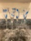 Set of 4 Fluted Glasses