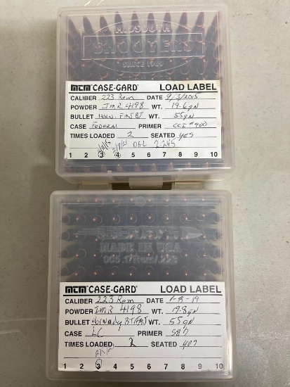 Group of 223 Ammunition Rounds