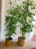 Pair of Artificial Trees