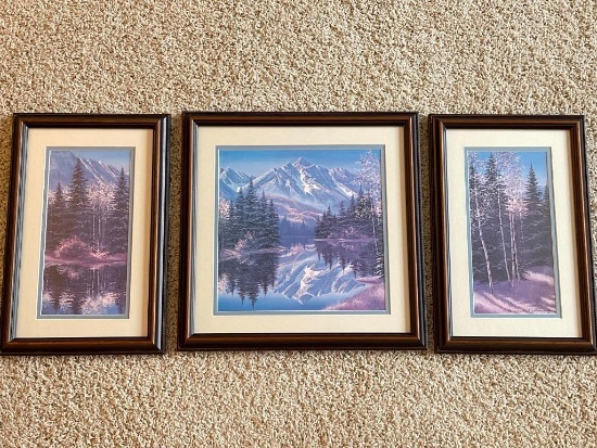 Series of Framed Prints - Artist Signed and Numbered