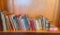 Youth Book Lot