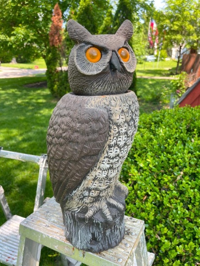 Composite Owl with Bobble Head