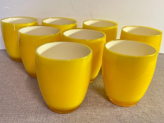Set of Plastic Drinking Glasses