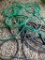 Lot of Garden Hoses