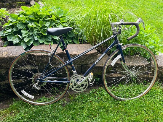 Panasonic Bicycle