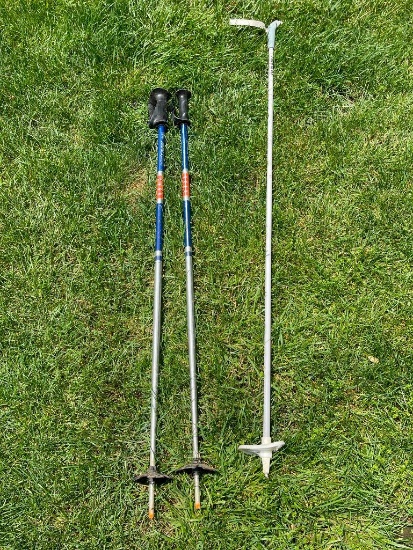 Set of Walking Sticks