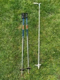 Set of Walking Sticks