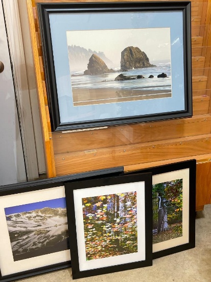 Group Framed Pictures