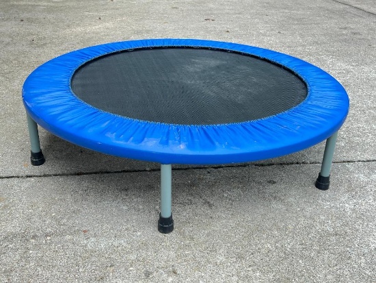 Mini Trampoline
