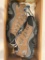 Ascend Lisco Size 6 Ladies Hiking Shoes - New in Box