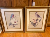 Pair of Framed Prints