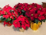 Group of 5 Artificial Poinsettias