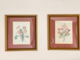 Pair of Framed Floral Prints