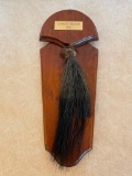 Wood Mounted Taxidermy Turkey Beard