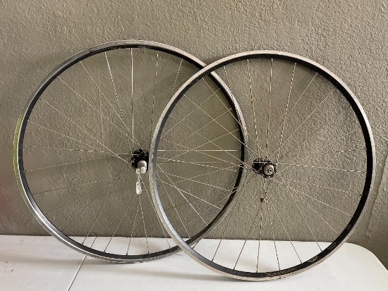 700c Wheel Set with Ritchie Hubs