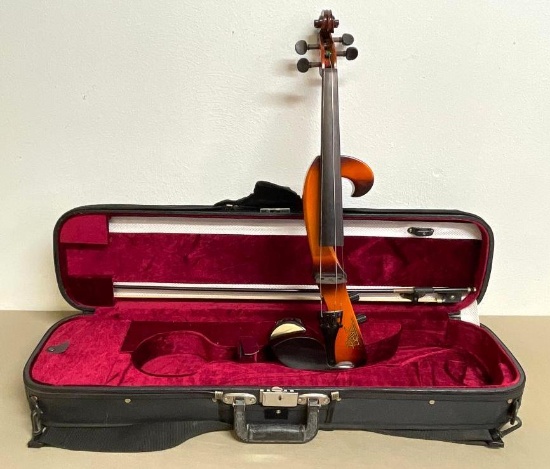 Rave Electric Violin