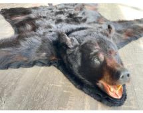 Online Only Auction Fishing, Hunting, Garage Items