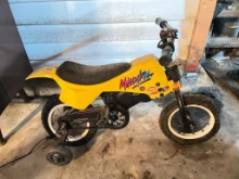 Youth Petal Bike