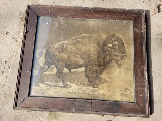 Union Pacific Bison Print