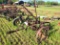 Two Bottom Plow