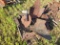 Plow Bottoms and Parts