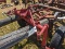 Farmall 404 Front Axle