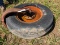 Single Wheel Front