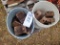 Buckets of Braces