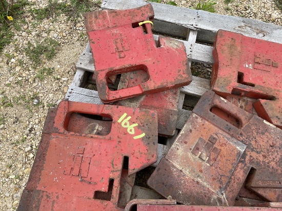 IH Suitcase Weights