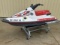 1994 Artic Cat Tigershark Barracuda