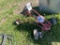 Go Cart