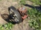 Gear Box with Pulley